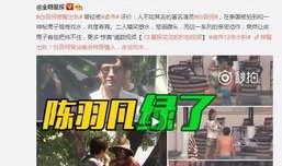 桃式技能爆料视频,揭秘神秘技能背后的秘密与魅力