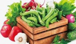 青菜爆料视频大全下载免费,免费下载，揭秘生活趣味瞬间