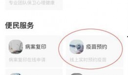 武汉疫苗最新爆料,揭秘疫苗研发进展与争议焦点
