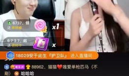 视频爆料背景音乐叫什么,热门神曲竟是幕后黑手
