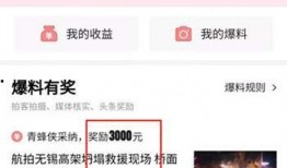 今日头条黑龙江爆料视频,揭秘当地民生热点事件