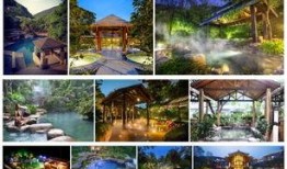 重庆温泉爆料事件视频,揭秘神秘事件背后的真相
