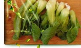 青菜爆料视频大全下载免费,免费下载，揭秘生活趣味瞬间