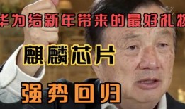 爆料麒麟回归是真的吗视频,官方确认，重磅消息来袭！