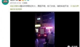 爆料冷冻视频播放,神秘内容引发热议，真相即将揭晓
