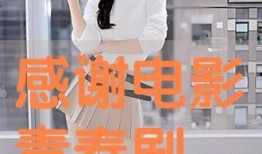 谢谢在线观看,一部感人至深的情感之旅