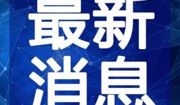 兔子爆料博主视频大全最新,揭秘博主视频大全背后的精彩瞬间